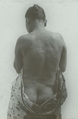 Prenten Adlib\P17842.jpg; P17842; ;